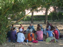 about open dharma retreats