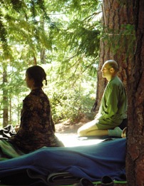 open dharma retreats