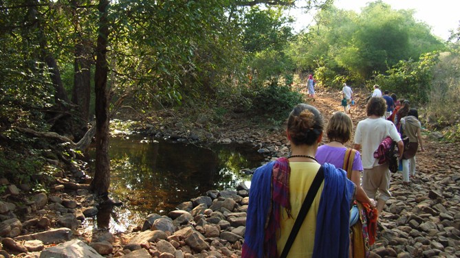 retiros de meditación open dharma